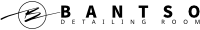 Detailing Logo